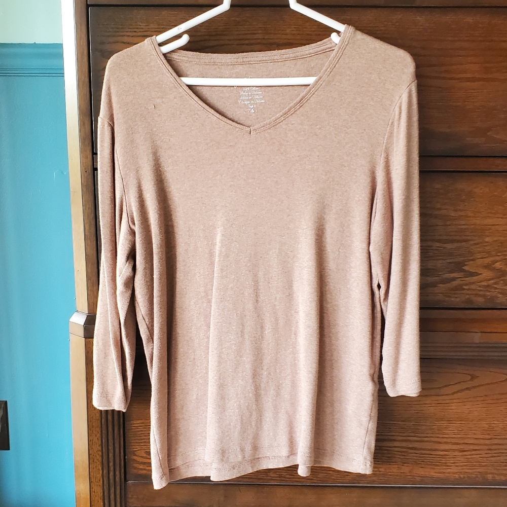 Chico's Light Brown Basic Vneck